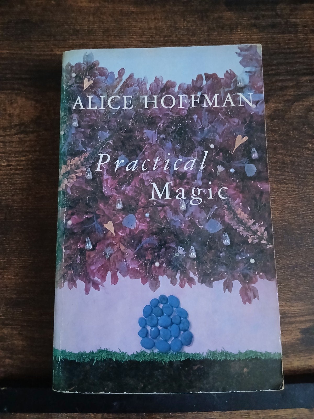 Practical Magic - Alice Hoffman (Engels), Ophalen of Verzenden, Gelezen