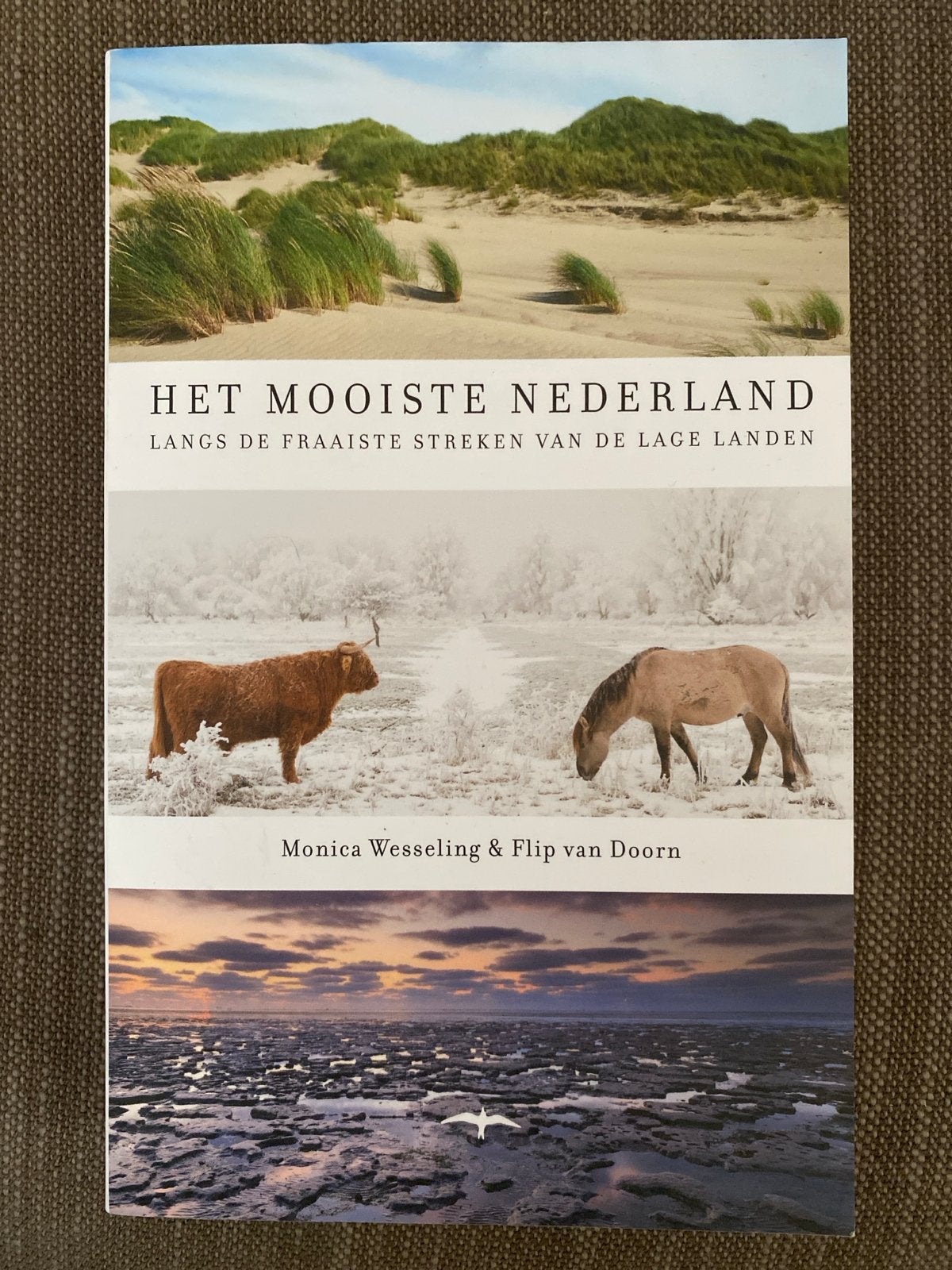 Monique Wesseling & Flip van Doorn - Het mooiste Nederland, Ophalen of Verzenden, Zo goed als nieuw, Flip van Doorn; Monica Wesseling