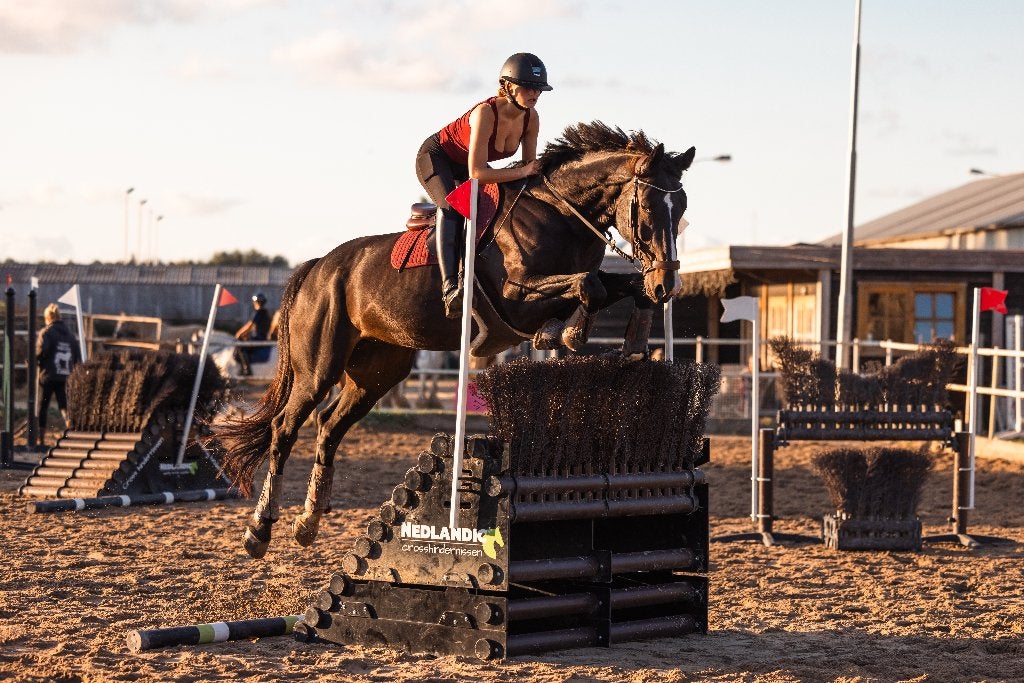 Enkele paarden beschikbaar voor o.a lease en lessen!, Stalling, 4 paarden of pony's of meer