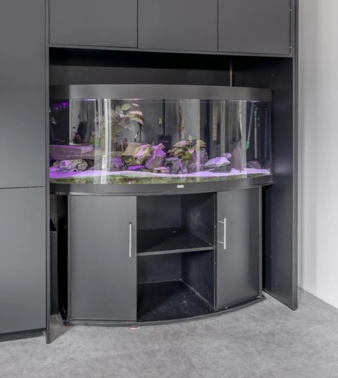 MOET NU WEG!! Aquarium juwel vision 450, Dieren en Toebehoren, Vissen | Aquaria en Toebehoren, Ophalen, Zo goed als nieuw, Gevuld zoetwateraquarium