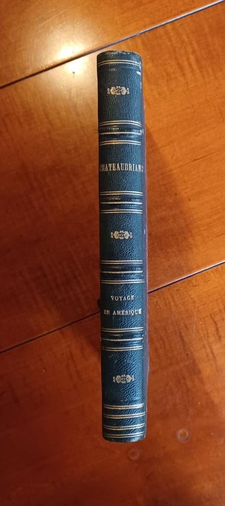 De Chateaubriand - Voyage en Amérique, Boeken, Reisverhalen, Ophalen of Verzenden, Gelezen, Noord-Amerika