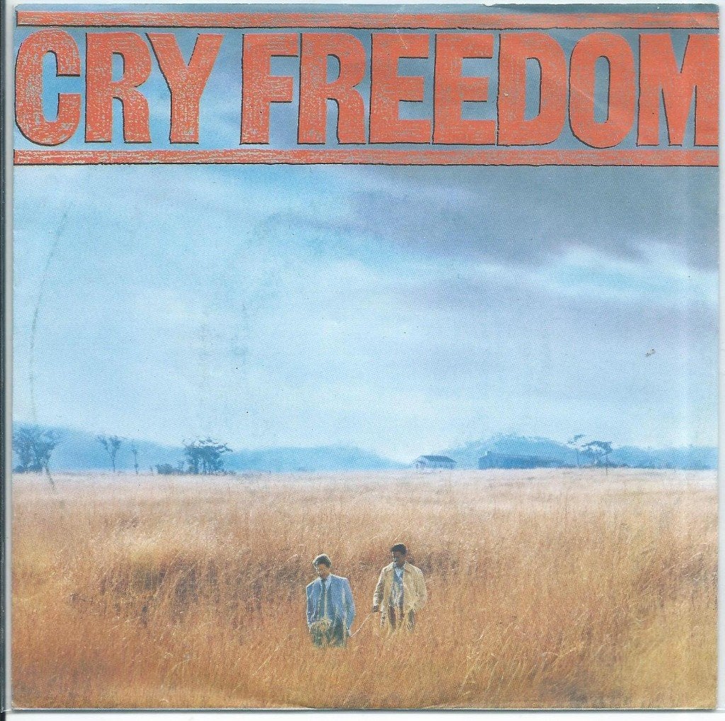 Vinyl Single Cry Freedom, Ophalen of Verzenden, Gebruikt, Pop