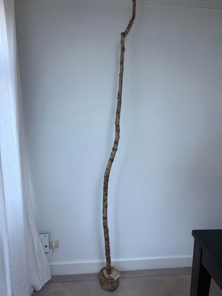 Unieke Berkhouten staande of hangende lamp LED kleur, Ophalen, Nieuw, Hout, 150 tot 200 cm