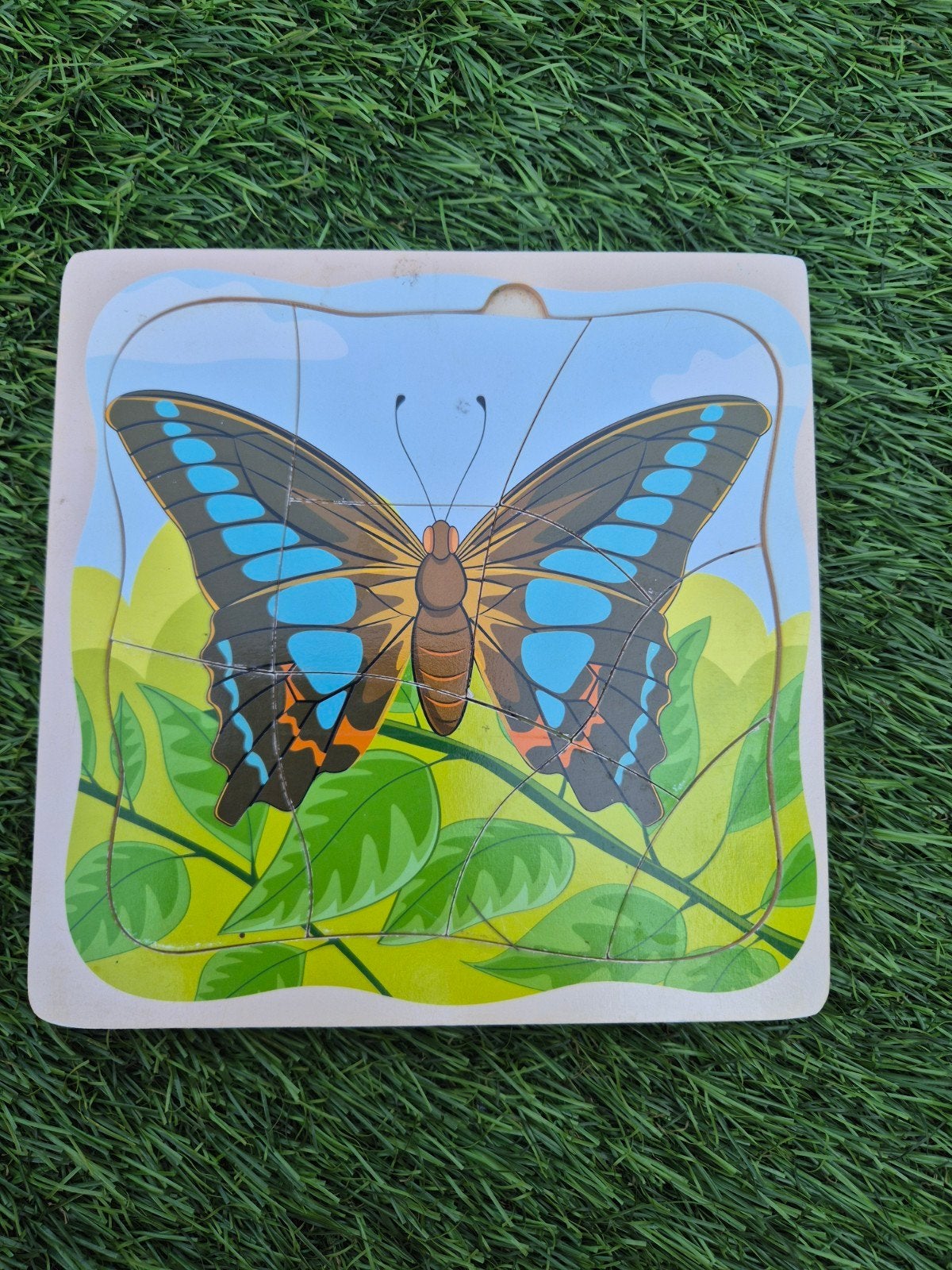 Houten vlinder puzzel - Levenscyclus van een vlinder, 2 tot 4 jaar, 10 tot 50 stukjes, Ophalen of Verzenden, Zo goed als nieuw
