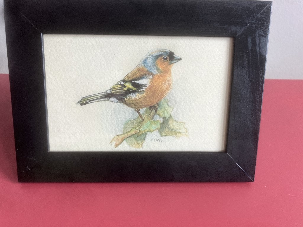 Vogelportret 'Vink' – Frederik J. Weijs, Antiek en Kunst, Ophalen of Verzenden