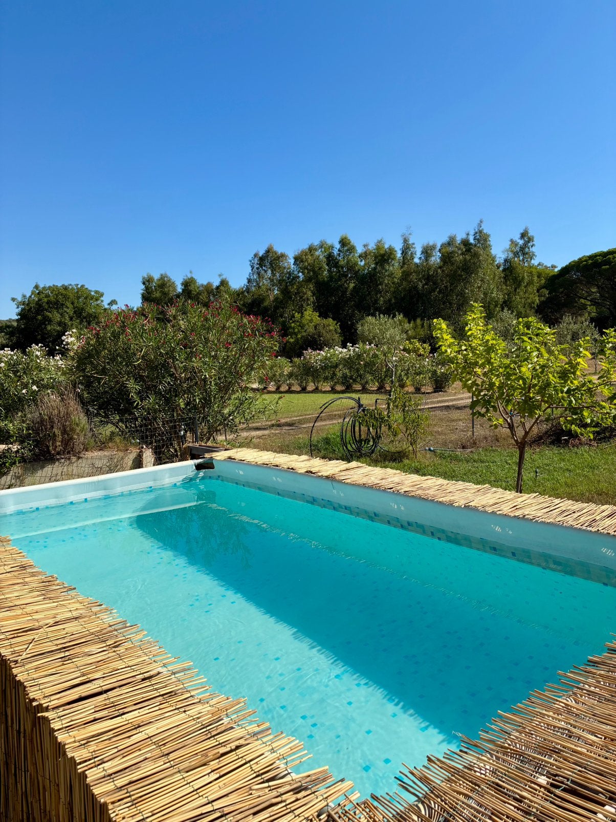 LAST MINUTE Vakantie Sardinië ☀️☀️☀️, Drie personen of meer, 3 overnachtingen of meer