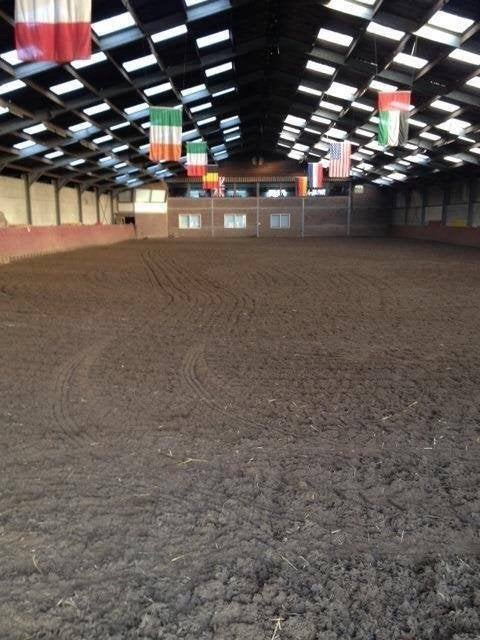 Buitenstallen op rustige pensionstal, Dieren en Toebehoren, Stalling en Weidegang, Stalling, 2 of 3 paarden of pony's