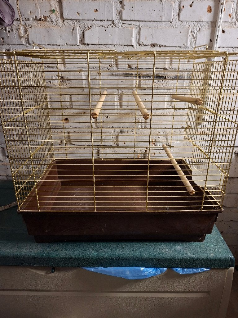Messing vogelkooi, Dieren en Toebehoren, Ophalen, Gebruikt, Metaal, Vogelkooi