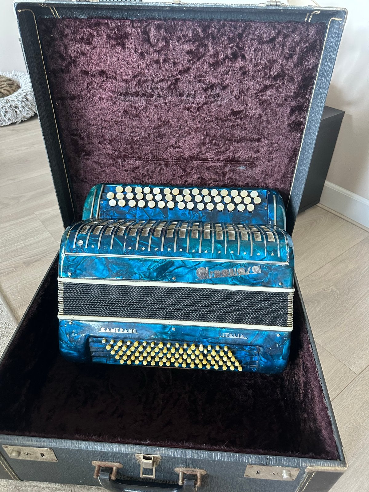 Vintage Camerano Accordeon - Blauw Parelmoer met Koffer, Ophalen of Verzenden, Gebruikt, Scandalli, Met koffer