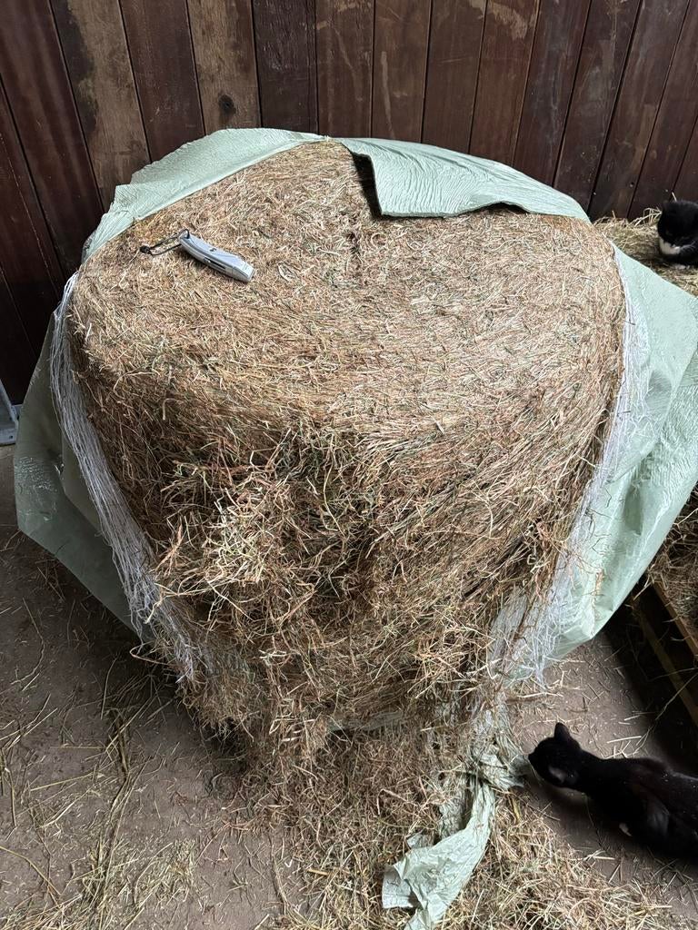 Ronde hooibalen, Dieren en Toebehoren, Dierenvoeding, Ophalen of Verzenden, Vee