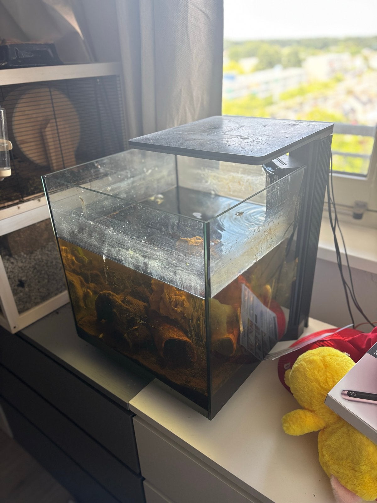 SuperFish aquarium QubiQ 60 Pro zwart 60 L, Dieren en Toebehoren, Vissen | Aquaria en Toebehoren, Ophalen, Gebruikt, Leeg aquarium