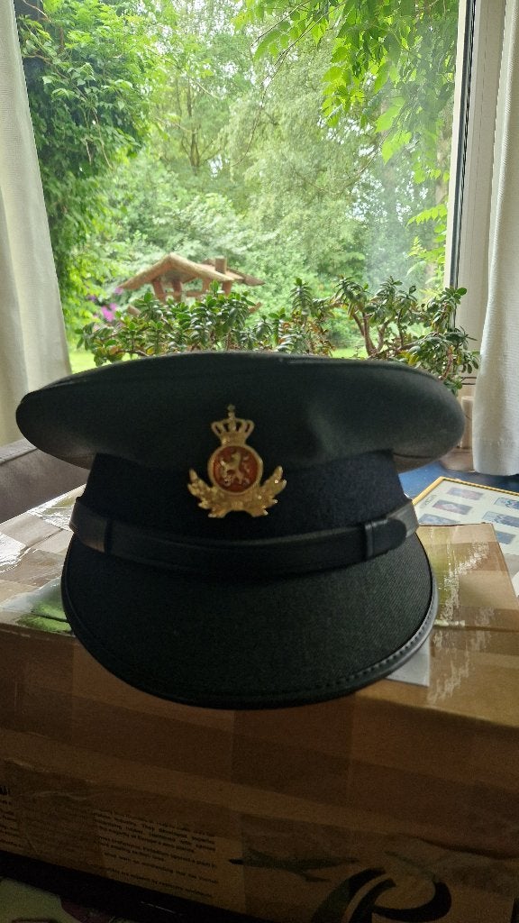 platte pet, Ophalen of Verzenden, Landmacht, Nederland, Helm of Baret