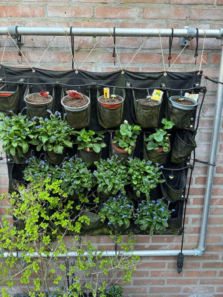 Tuin zak voor planten met druppelsysteem, Tuin en Terras, Bloembakken en Plantenbakken, Ophalen, Overige materialen, Gebruikt