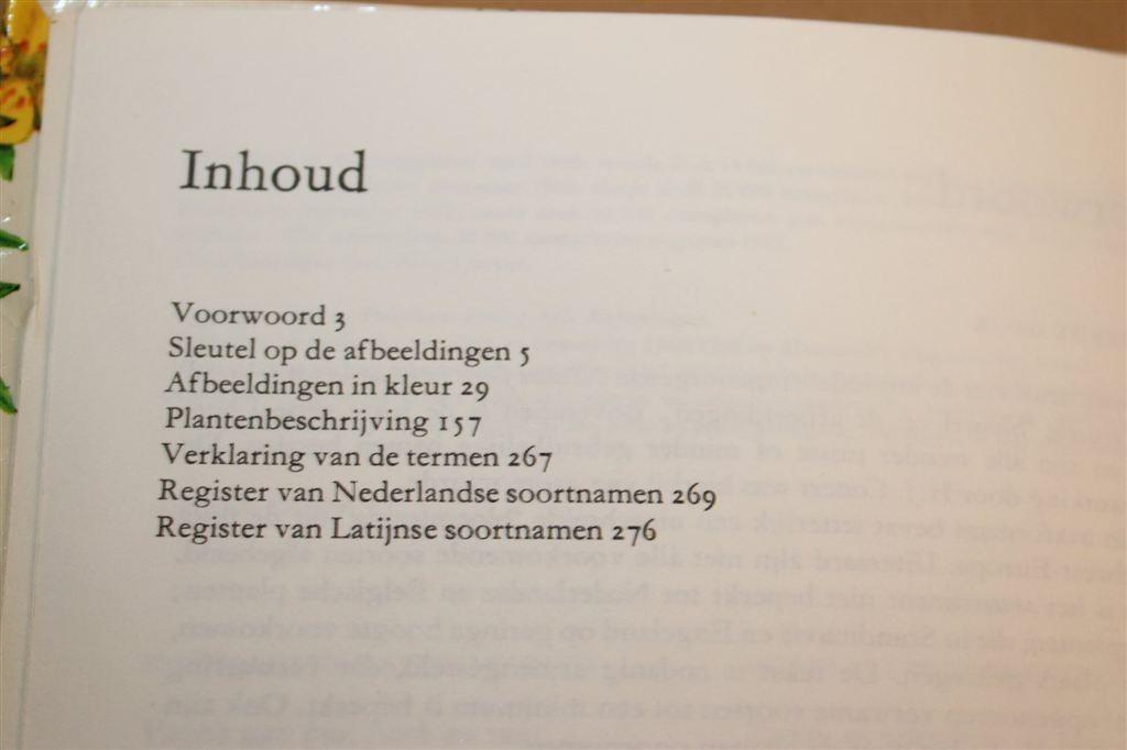 Nieuwe Flora in Kleur — Zaadplanten Natuurgids, 1977, Boeken, Natuur, Ophalen of Verzenden, Gelezen, Bloemen, Planten en Bomen