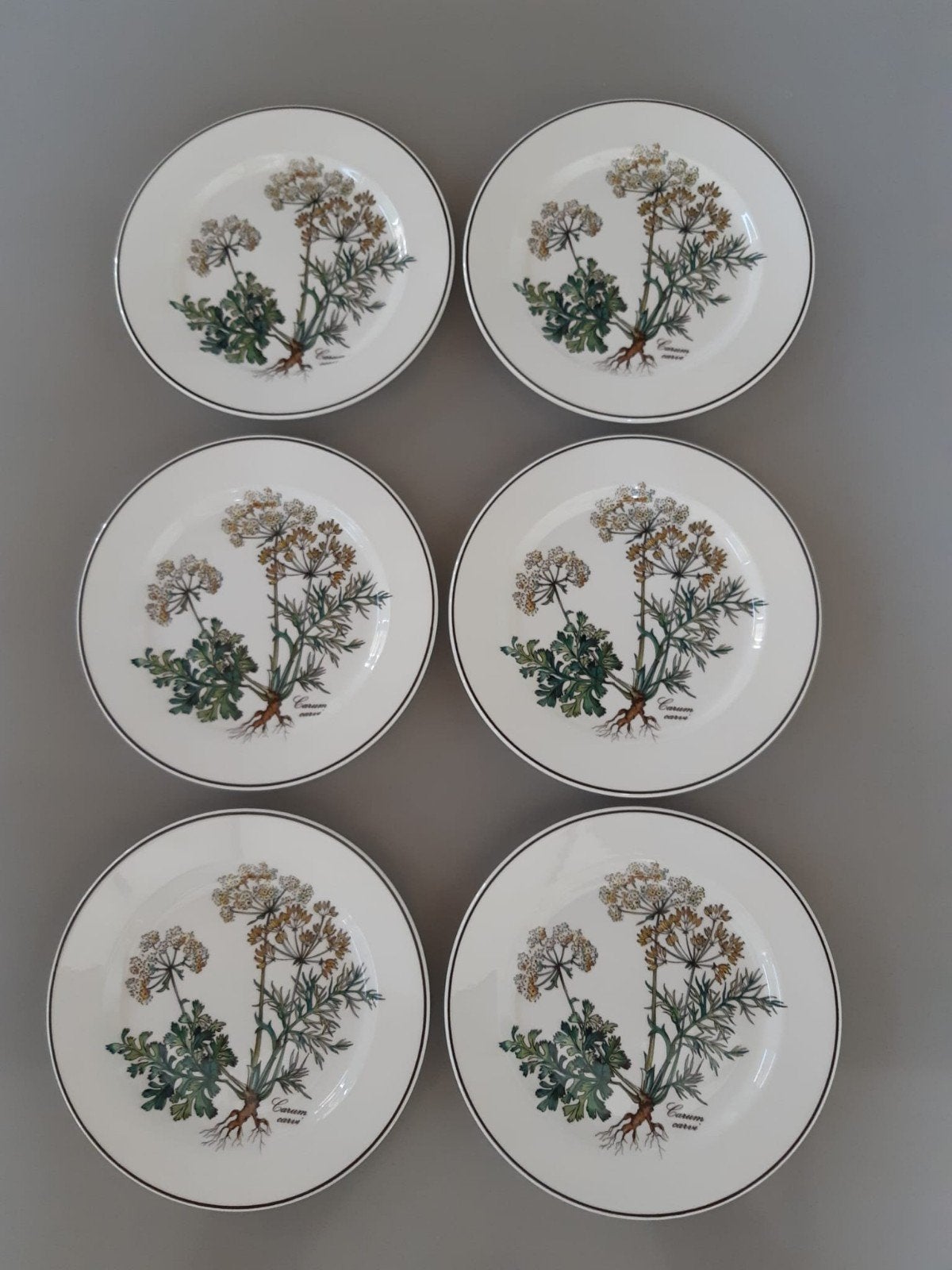 6 Gebaksbordjes,  side dishes Villeroy en Boch Botanica, Nieuw, Ophalen of Verzenden, Bord(en), Overige stijlen