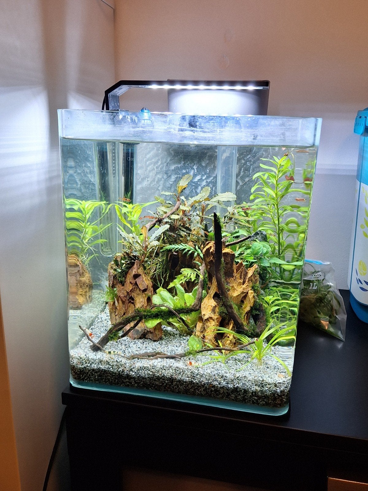 20 liter Dennerle cube compleet., Dieren en Toebehoren, Ophalen, Gebruikt, Dennerle