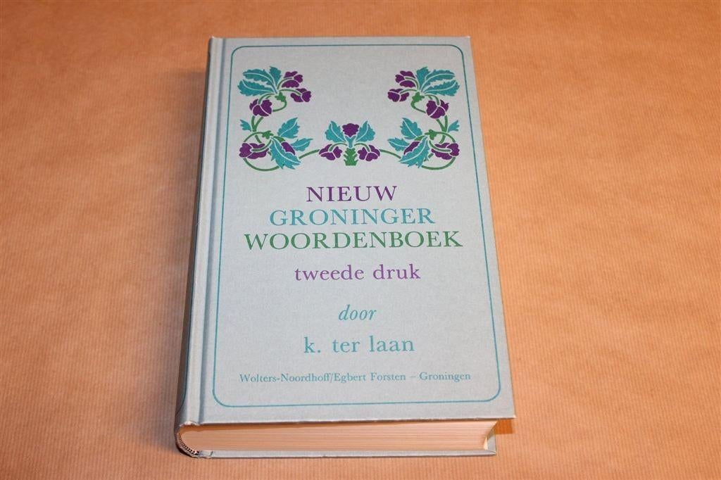 Nieuw Groninger Woordenboek — Standaardwerk K. ter Laan, Ophalen of Verzenden, Zo goed als nieuw