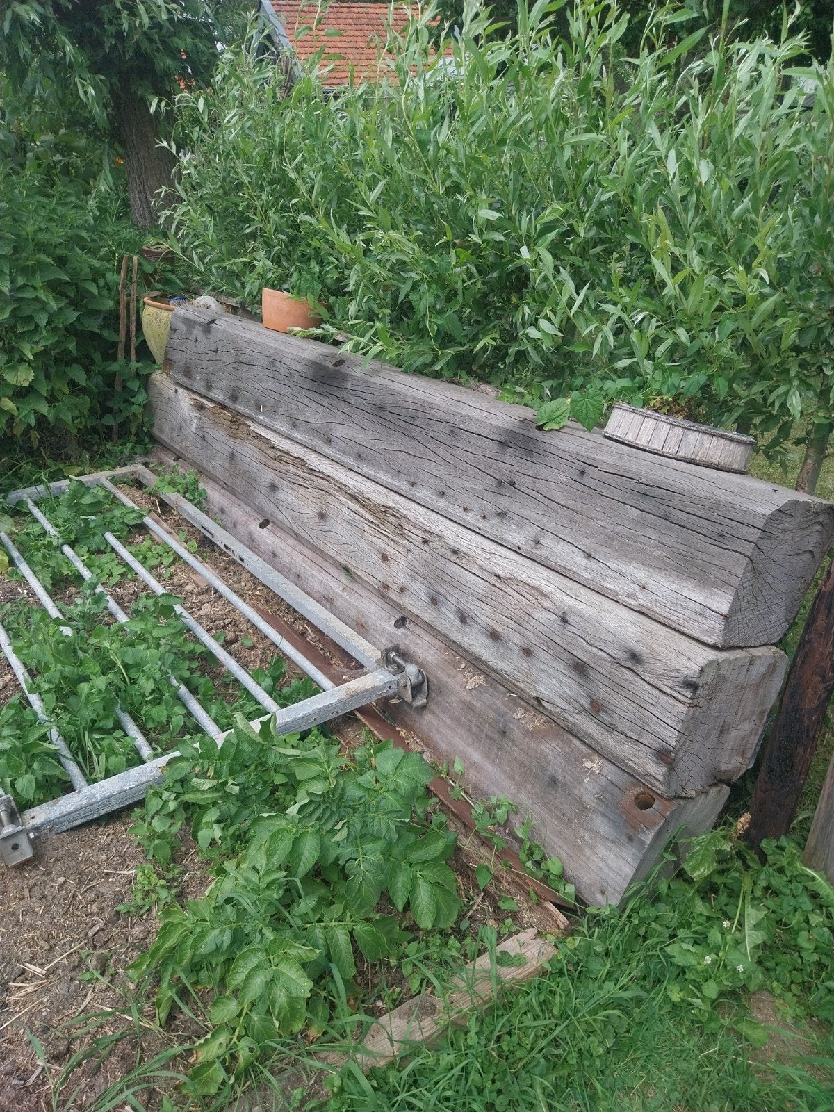 Robuuste hardhouten meerpalen / balken, Ophalen, Gebruikt, Hardhout, 250 cm of meer