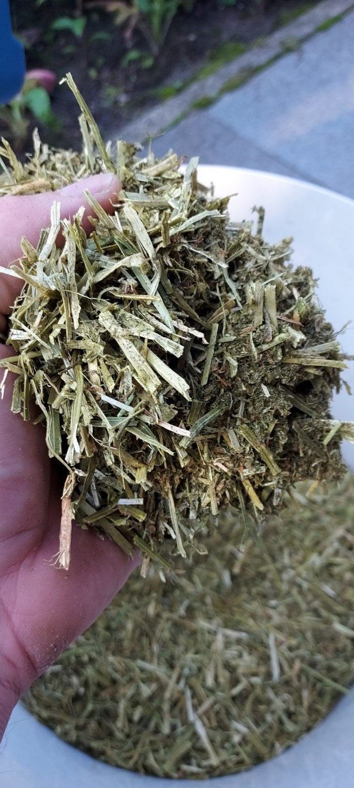 Luzerne balen 20kg. Voor paard en veehouderij, Ophalen of Verzenden