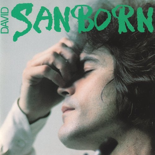 David Sanborn - Sanborn (CD), Ophalen of Verzenden, Gebruikt, Jazz-fusion, Album