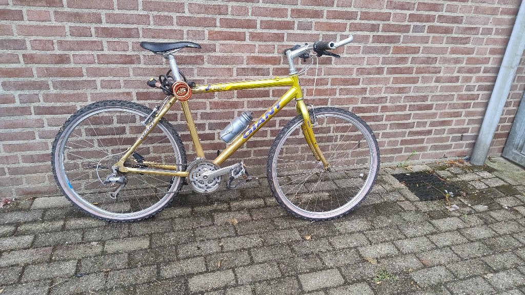 mountainbike, 49 tot 53 cm, Ophalen, Gebruikt, Giant