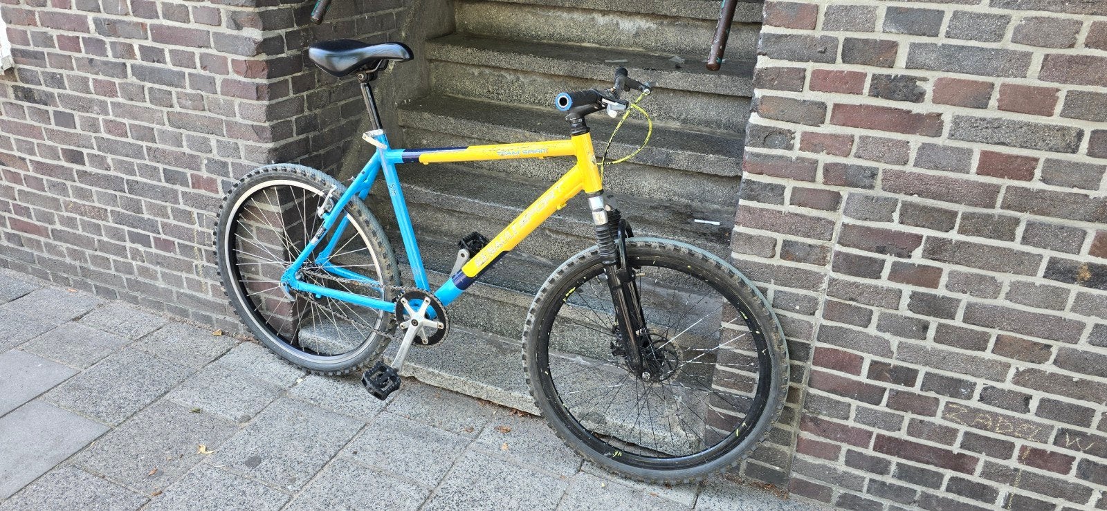 Prima Renault singlespeed fiets, Fietsen en Brommers, Gebruikt, Vering, Meer dan 20 versnellingen, 53 tot 57 cm