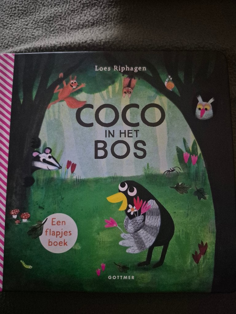 Coco in het bos, Uitklapboek, Fictie algemeen, Loes Riphagen, Ophalen of Verzenden
