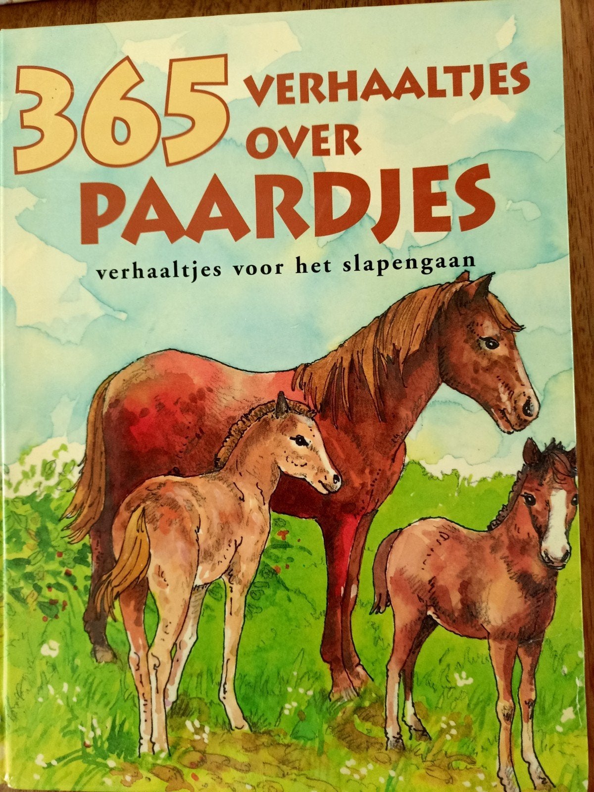 365 Verhaaltjes over Paardjes, Boeken, Ophalen of Verzenden, Fictie algemeen