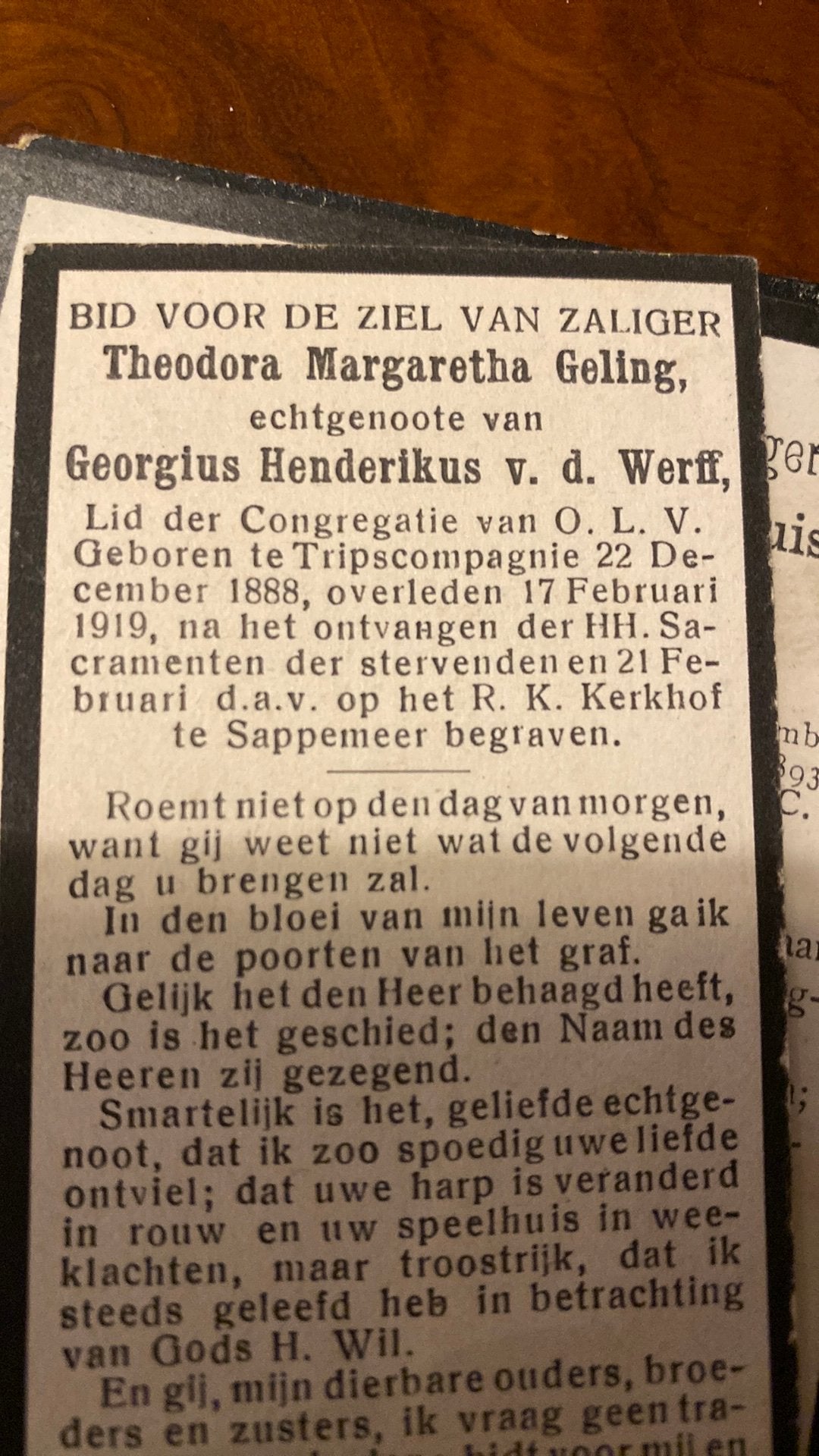 TM vd Werff - Geling 1888 Tripscompagnie 1919 Sappemeer, Ophalen of Verzenden