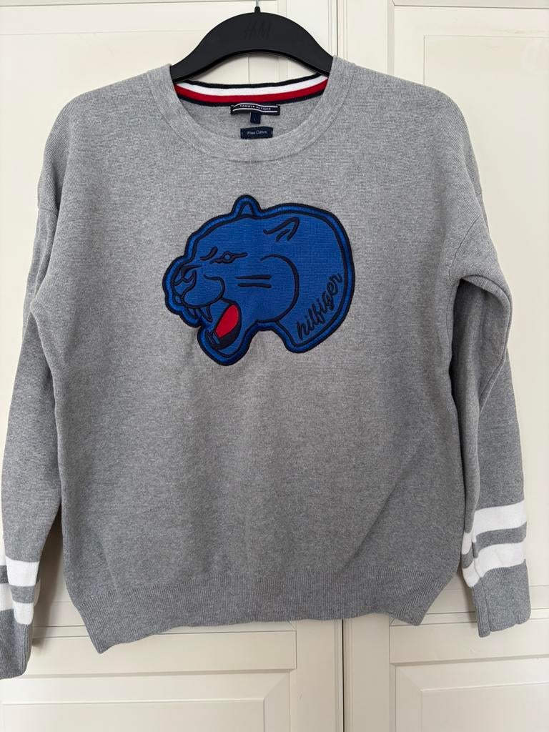 Dames trui Tommy Hilfiger, Kleding | Dames, Truien en Vesten, Ophalen of Verzenden, Zo goed als nieuw, Maat 38/40 (M), Blauw