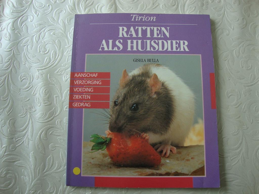 Ratten als huisdier, Ophalen of Verzenden, Zo goed als nieuw, Konijnen of Knaagdieren