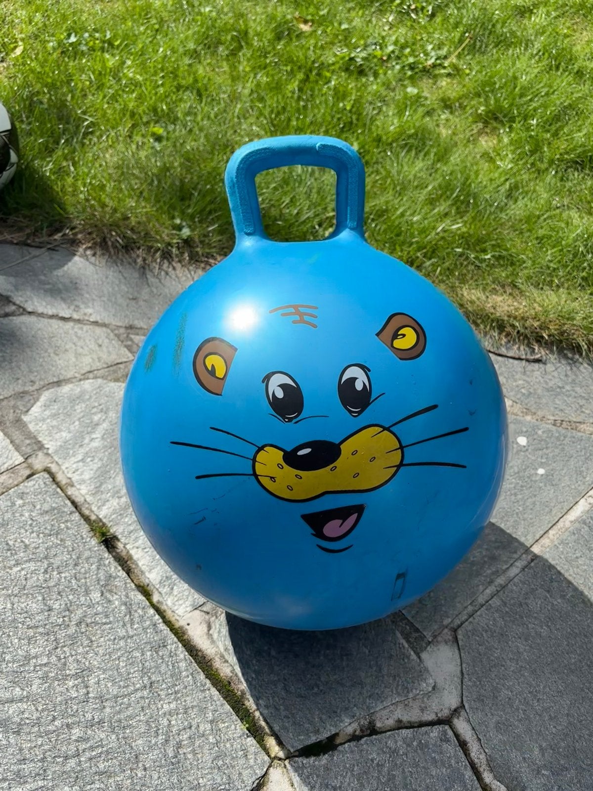 Skippybal met leuke opdruk voor kinderen, Ophalen, Gebruikt