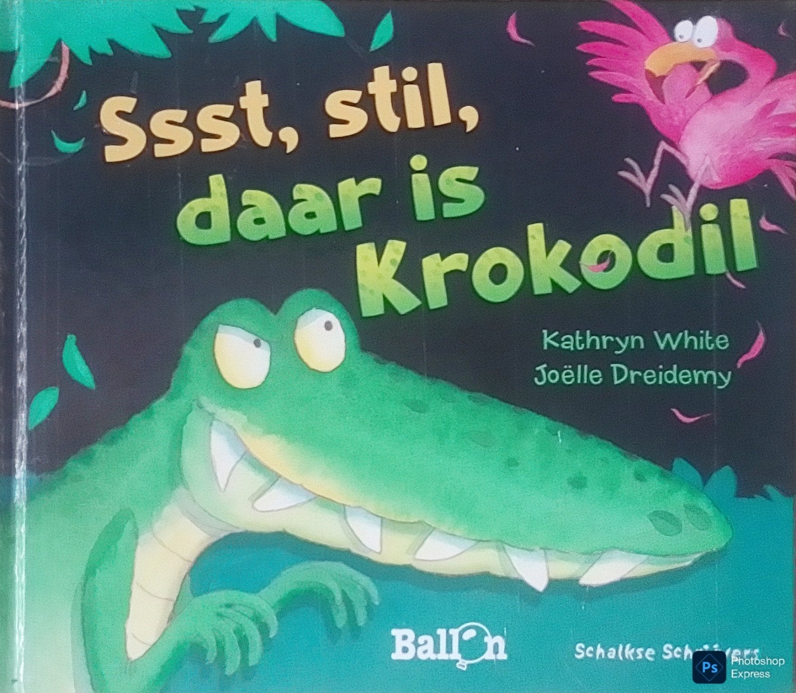 Ssst, Stil, Daar Is Krokodil, Boeken, Gelezen, Fictie algemeen, Jongen of Meisje, Ophalen of Verzenden