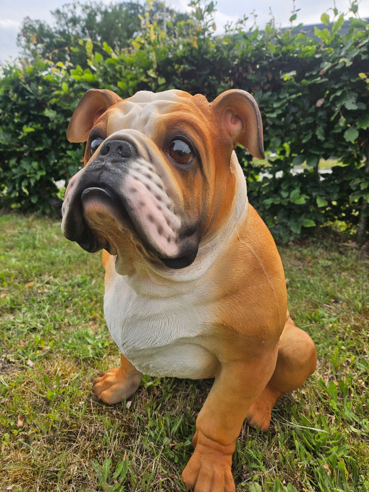 BULLDOG DECORATIE BEELD 52 CM HOOG , NIEUW, Ophalen of Verzenden, Nieuw