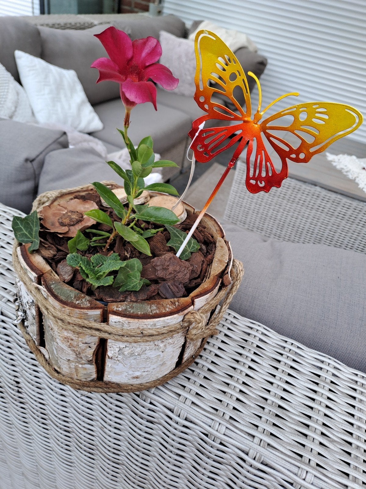 Houten bloembak met dipladenia, Ophalen