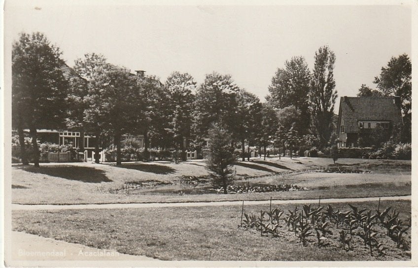 Bloemendaal Acacialaan, Ophalen of Verzenden, 1920 tot 1940, Ongelopen, Noord-Holland