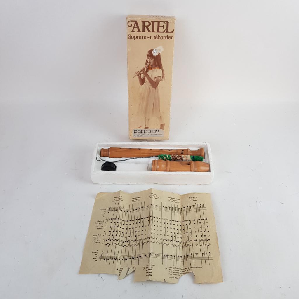 Ariel Soprano Blokfluit in doos || nu voor maar €19,99!, Muziek en Instrumenten, Blaasinstrumenten | Blokfluiten, Sopraan of Sopranino