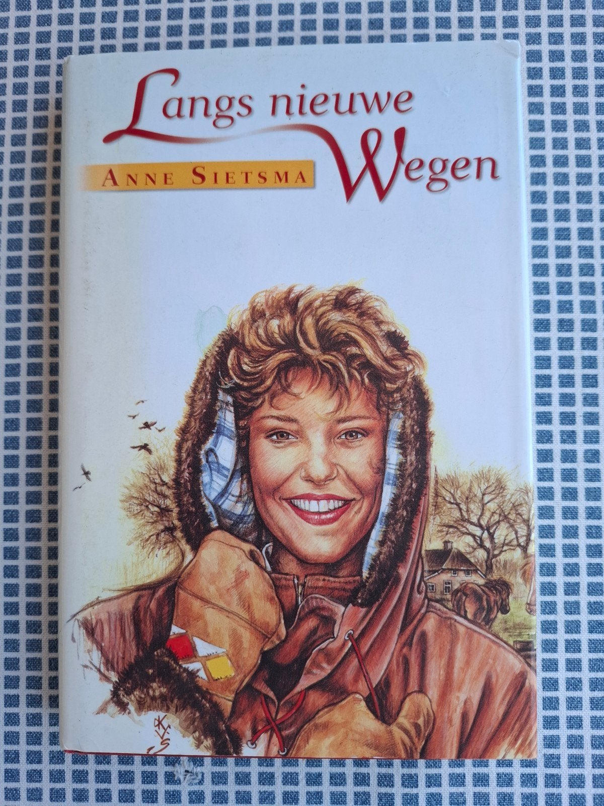 A. Sietsma - Langs nieuwe wegen, Gelezen, Noord-Brabant, Ophalen of Verzenden, A. Sietsma