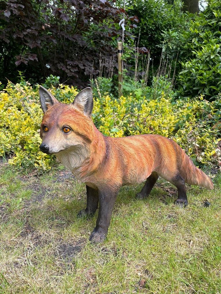 Tuinbeeld vos lopend gazon, tuin, dierentuin, 70 cm, Ophalen, Nieuw, Kunststof, Dierenbeeld