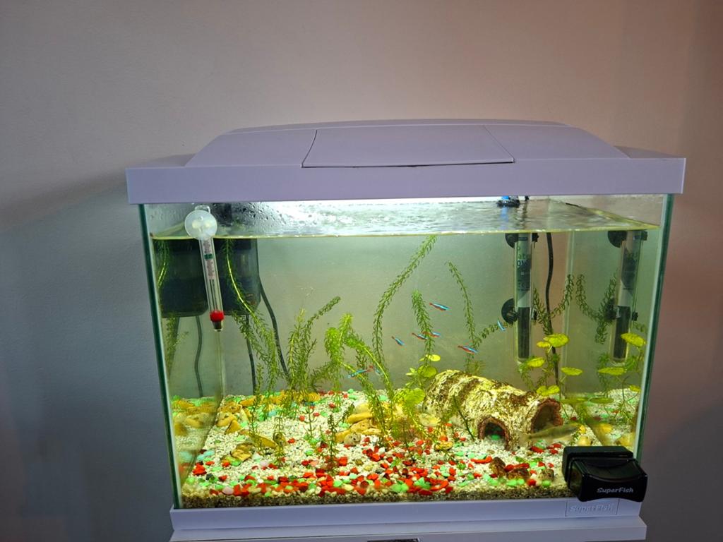Superfish start 50 aquarium, meubel, vissen, accesoires, Ophalen, Gevuld zoetwateraquarium, Superfish