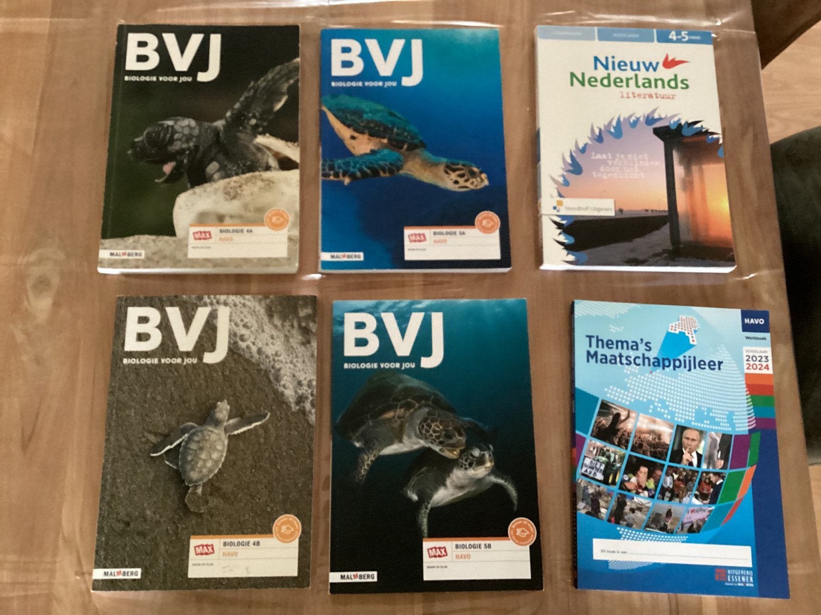 Havo 4/5 schoolboeken, Boeken, Ophalen of Verzenden, Zo goed als nieuw, HAVO, Engels