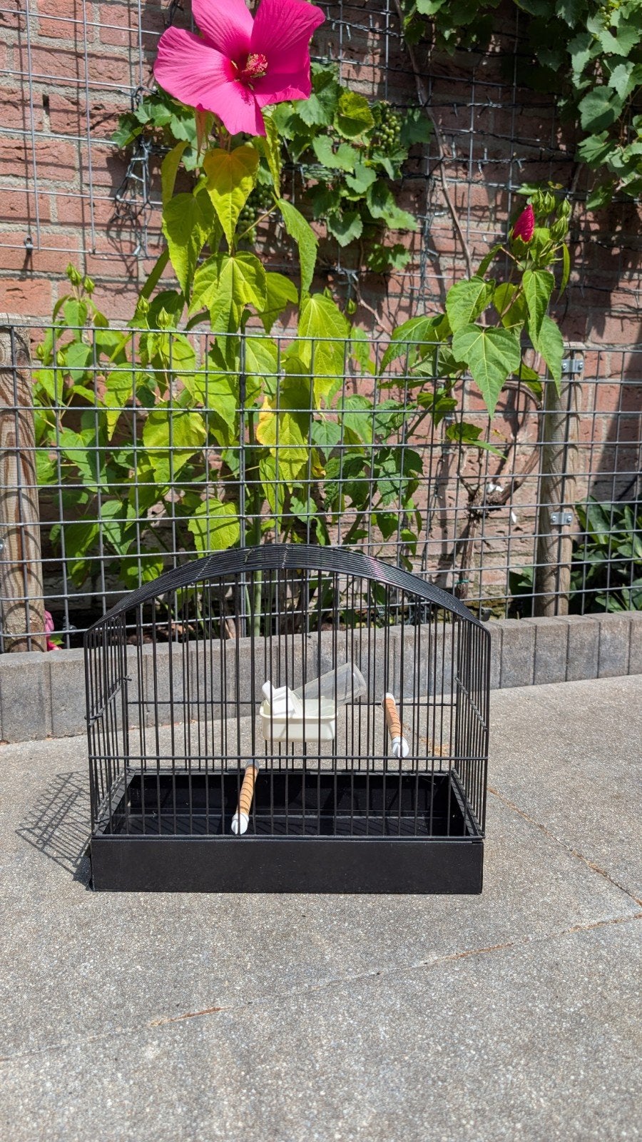 Vogelkooi voor vervoer, Ophalen of Verzenden, Nieuw, Metaal, Overige typen