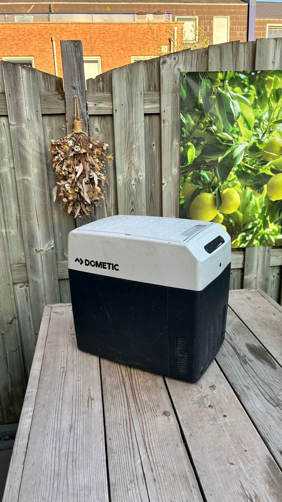Dometic TXC 21 koelbox, Ophalen, Gebruikt, Koelbox, Elektrisch