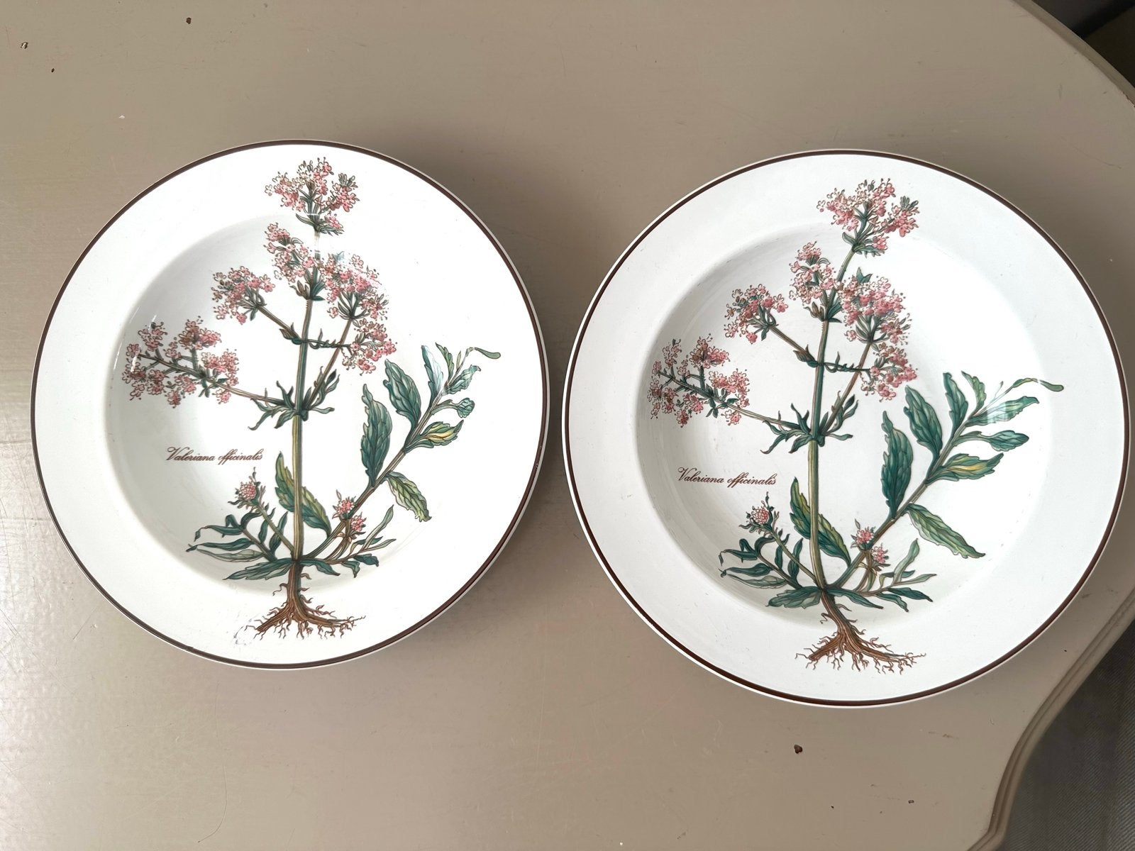 2 diepe borden Botanica Villeroy & Boch, Ophalen of Verzenden, Zo goed als nieuw, Bord(en), Porselein