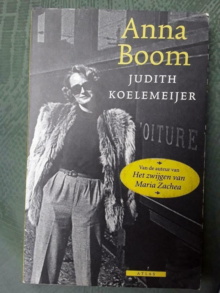 Anna Boom - Judith Koelemeijer (Gelezen), Boeken, Ophalen of Verzenden, Gelezen, Judith Koelemeijer