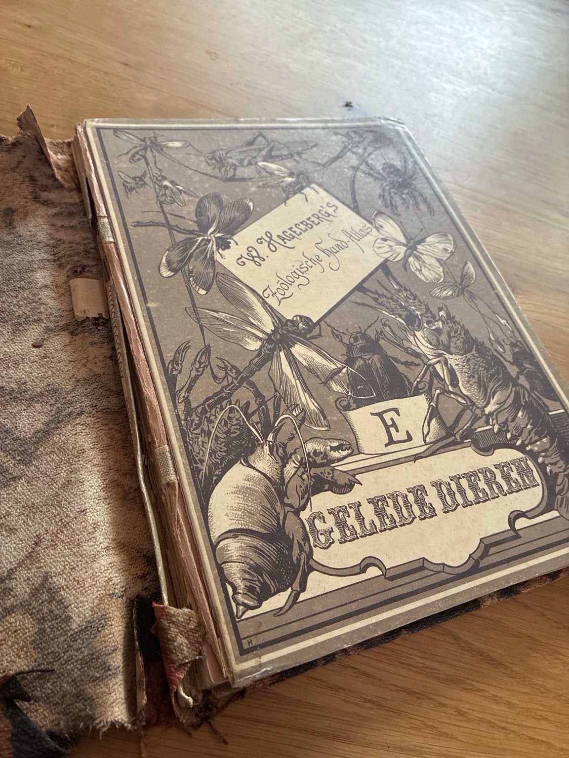 Antieke Zoölogische Hand-Atlas 1889 met kleurenplaten, Antiek en Kunst, Ophalen of Verzenden