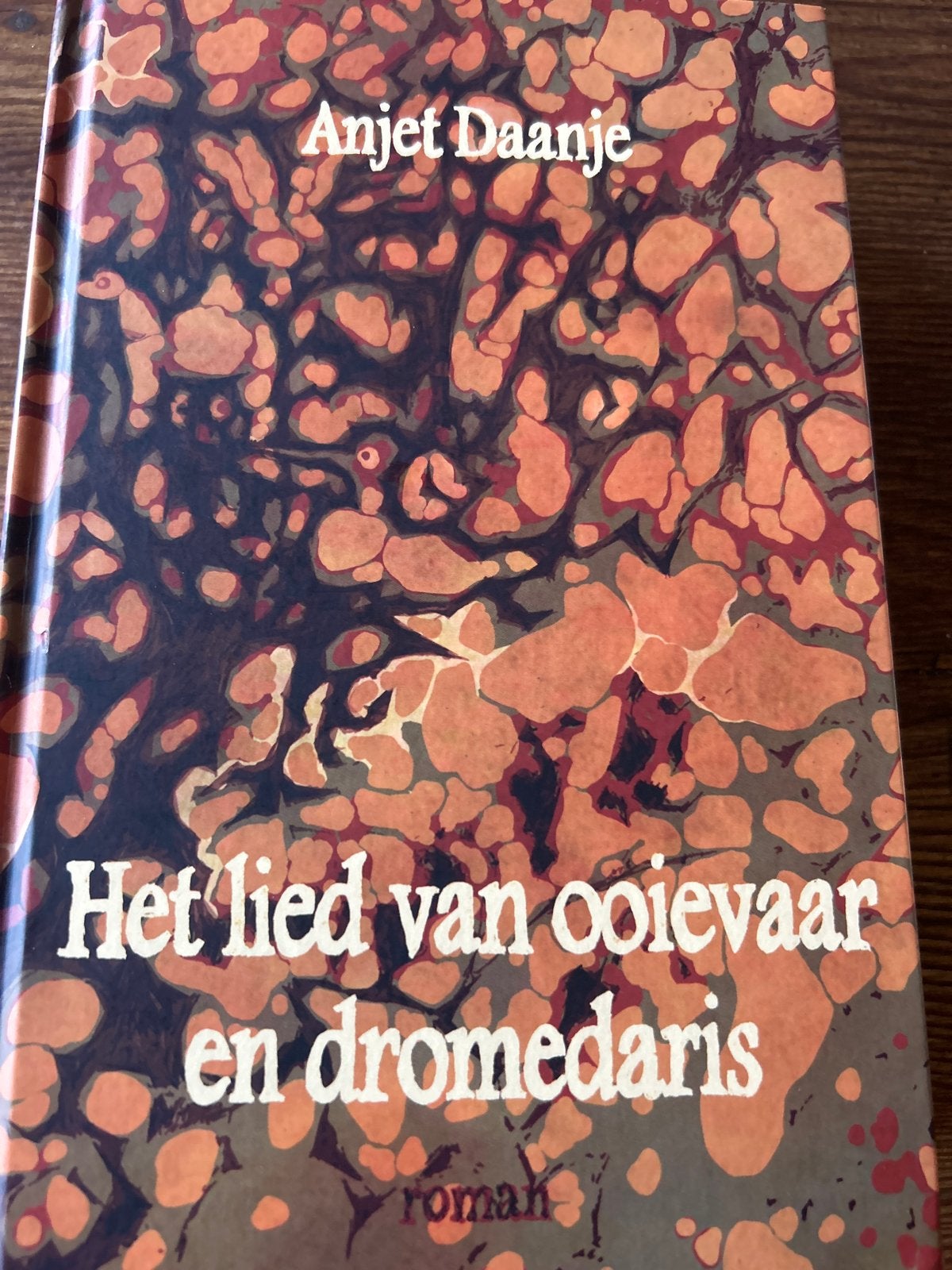 Het lied van ooievaar en dromedaris - Anjet Daanje, Boeken, Ophalen of Verzenden, Zo goed als nieuw, Nederland