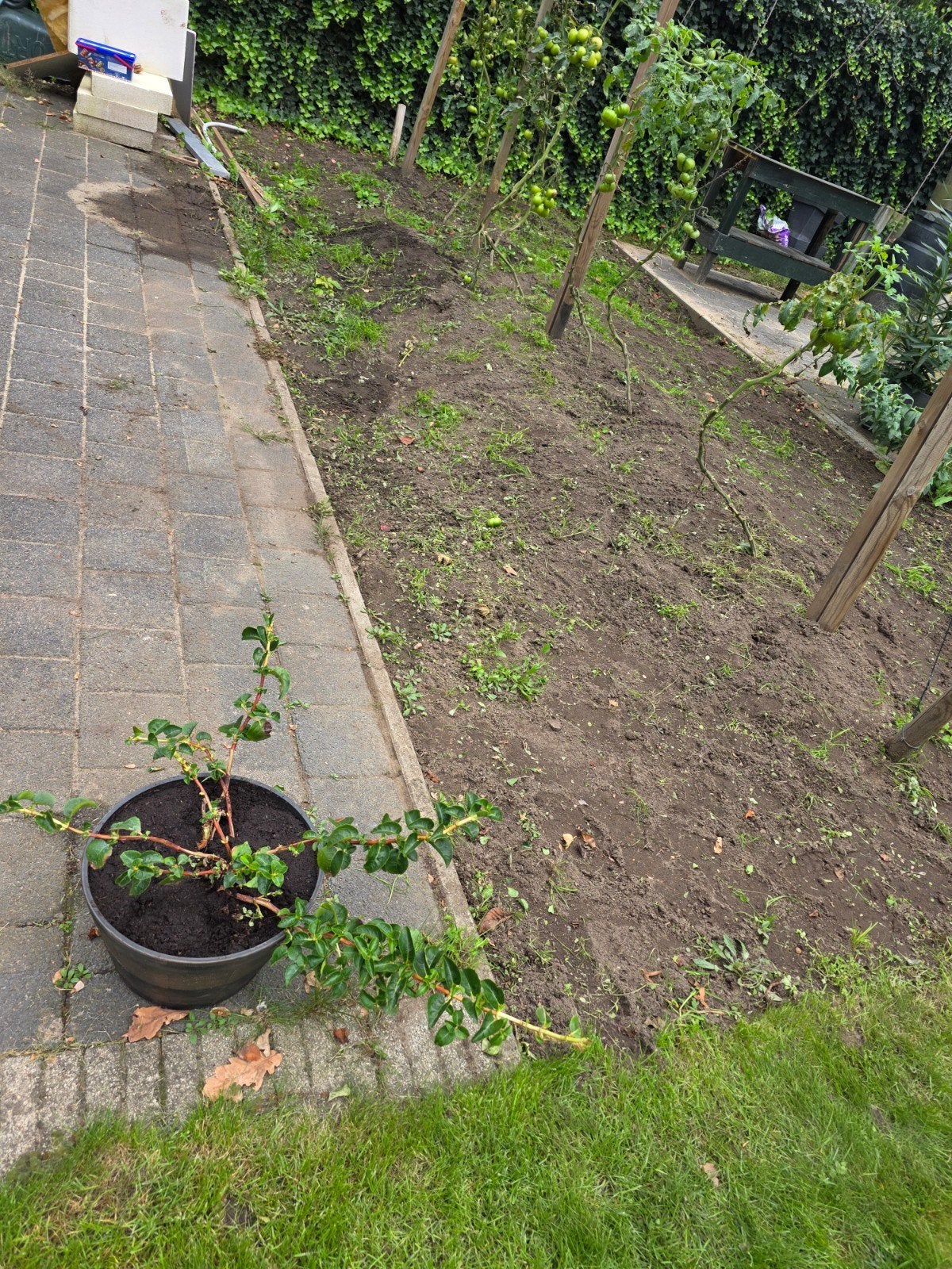 Gratis af te halen: ca. 2 m³ tuinaarde, Tuin en Terras, Ophalen, Tuinaarde