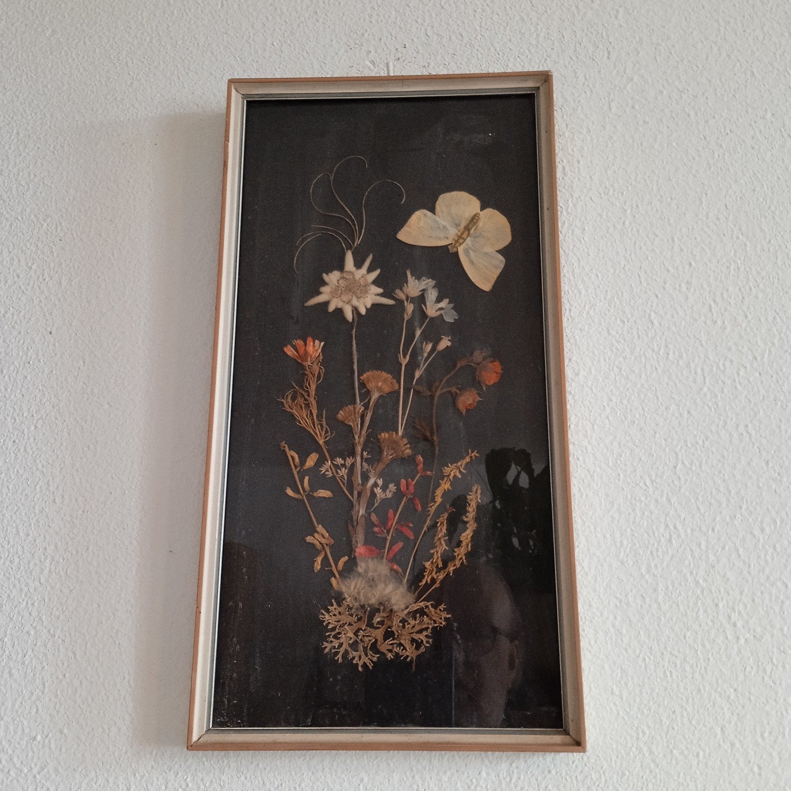 Vintage ingelijste droogbloemen met vlinder, Huis en Inrichting, 50 – 75, Minder dan 50 cm, Gebruikt, Overige typen