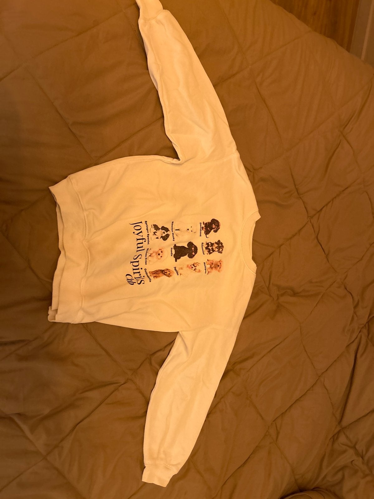 H&M Trui met Hondenprint - Maat 134/140 (8-10 jaar), Kinderen en Baby's, Ophalen of Verzenden, Zo goed als nieuw, Jongen of Meisje